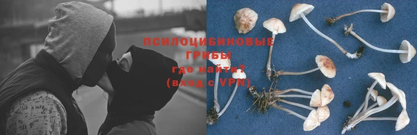 прущие крисы Ладушкин