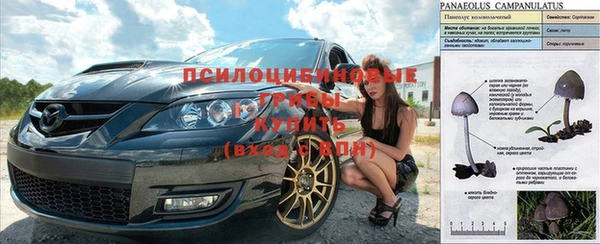 MDMA Premium VHQ Бронницы