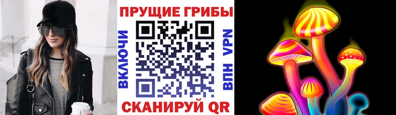 Купить  Мончегорск  Псилоцибиновые грибы Magic Shrooms 